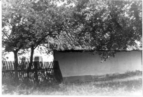 eika image